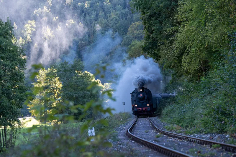 Dampfbahn Fränkische Schweiz